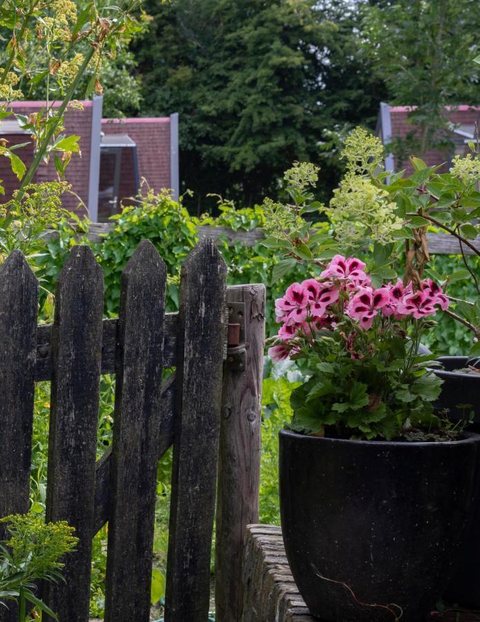 Hotelhuisjes Aartswoud Bagian luar foto